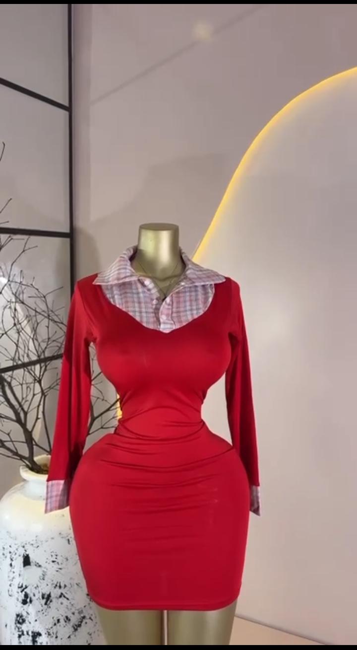 Red Plaid Collar Mini