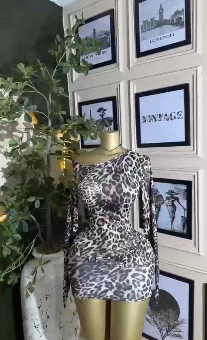Leopard Bodycon Mini