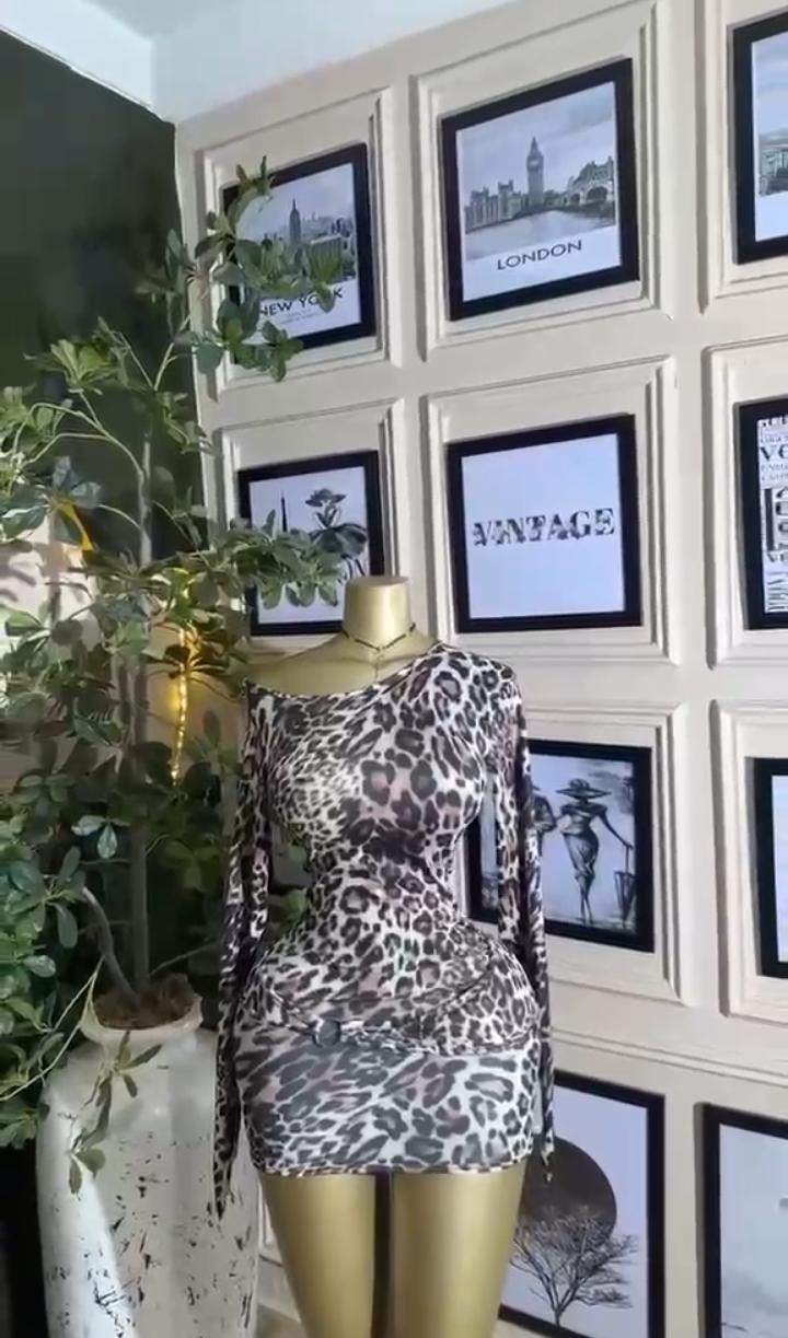 Leopard Bodycon Mini